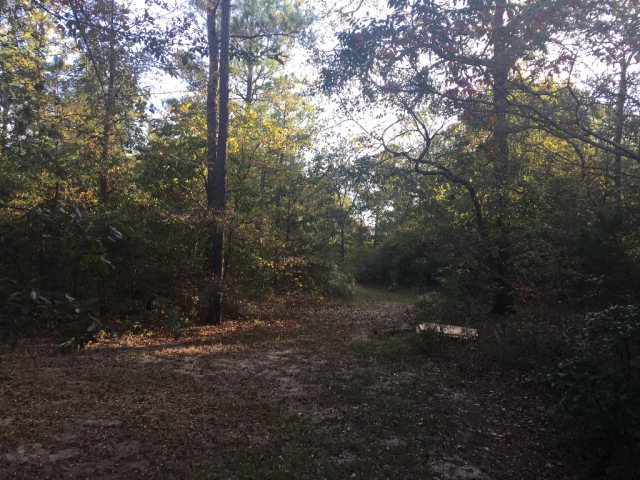 3416 Lower Hartley Bridge Road Byron, GA 31008 - Photo 25 of 28 a view of outdoor space and yard