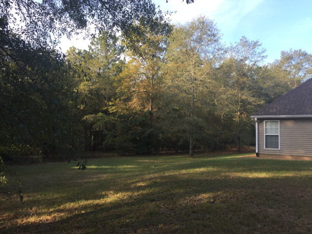 3416 Lower Hartley Bridge Road Byron, GA 31008 - Photo 26 of 28 a view of a house with a yard