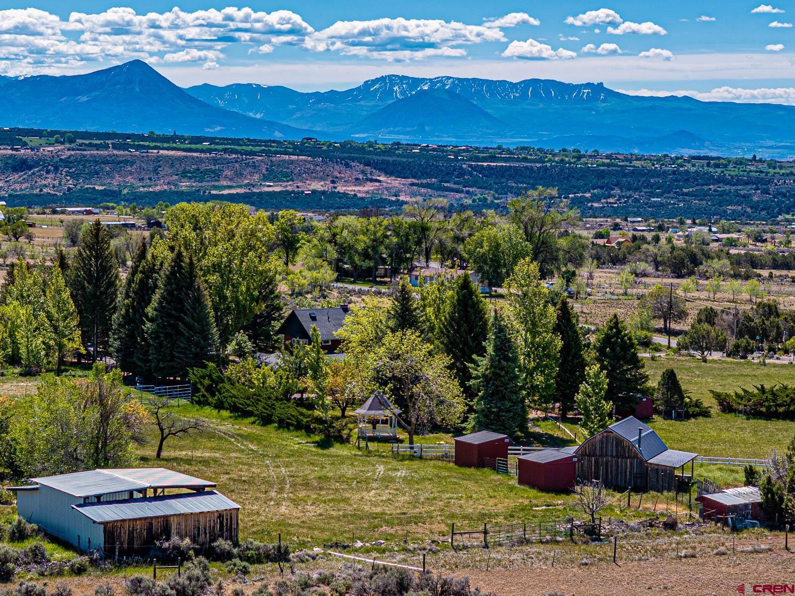 16331 2550th Road Cedaredge, CO 81413 - Photo 41 of 45 a view of a swimming pool with a yard