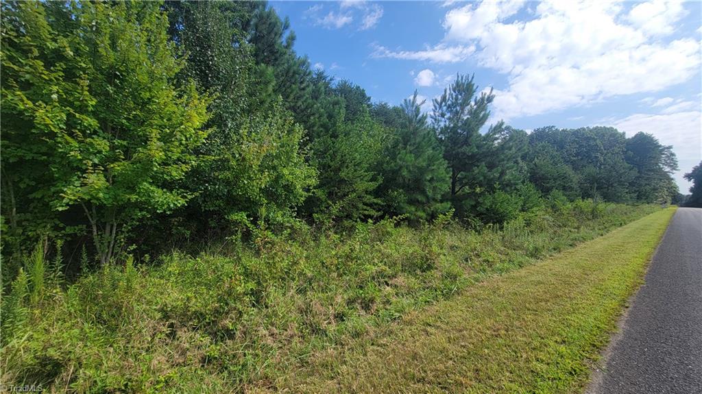 0 Arthur Haney Road Dobson, NC 27017 - Photo 4 of 6 Gallery Image 4