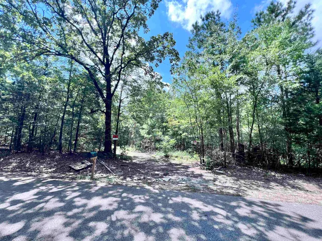 a view of outdoor space and trees