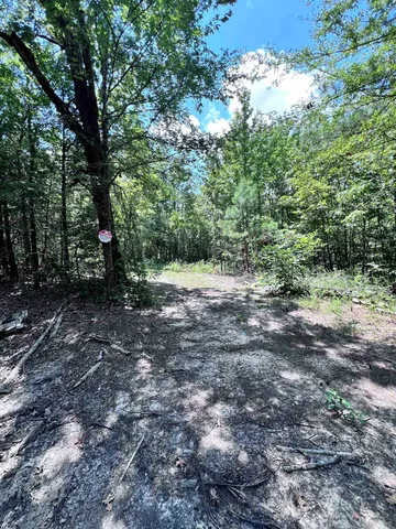 a view of outdoor space with trees all around