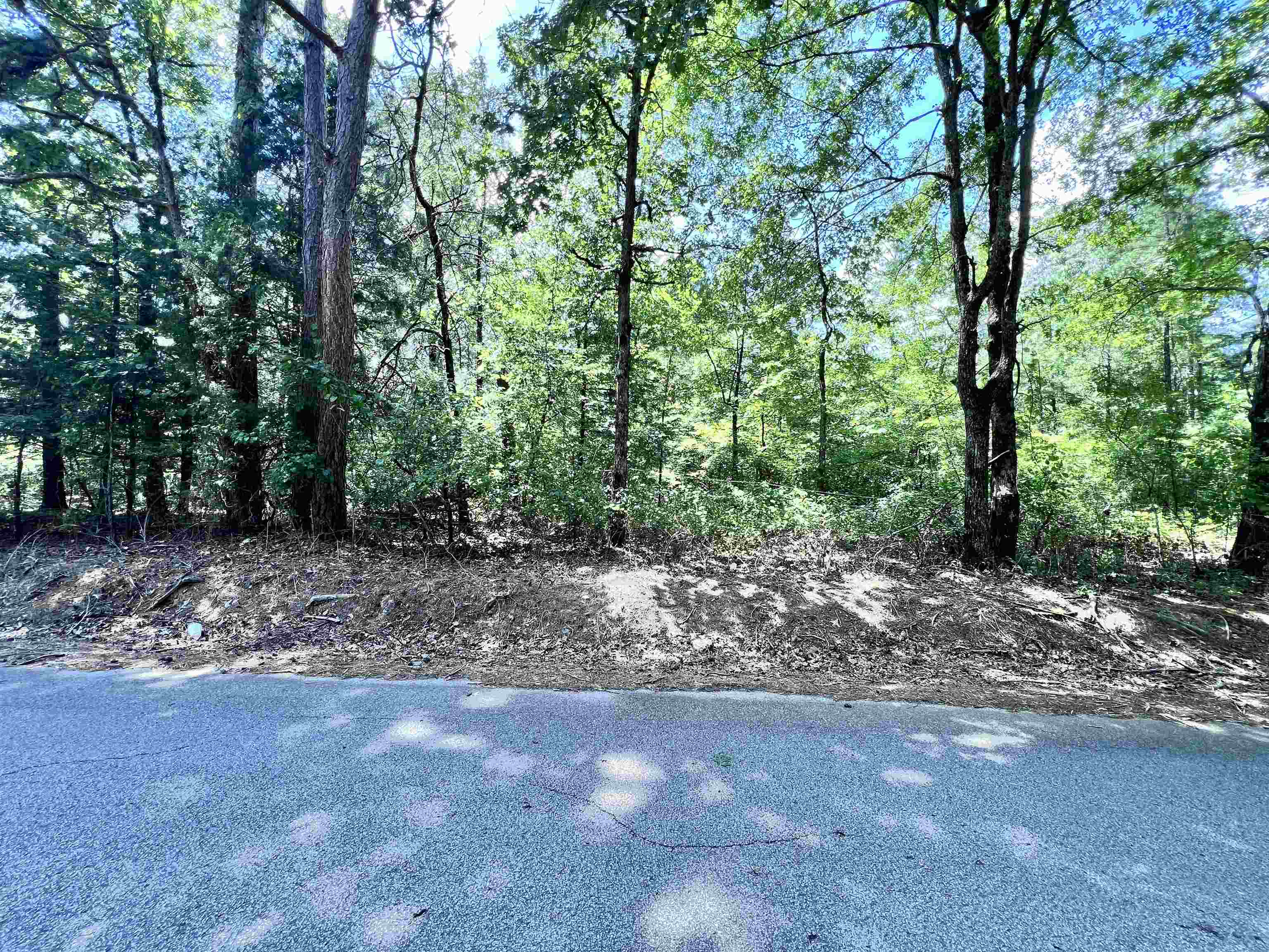 0 Hebron Road Middleton, TN 38052 - Photo 2 of 10 a view of a forest with trees in the background