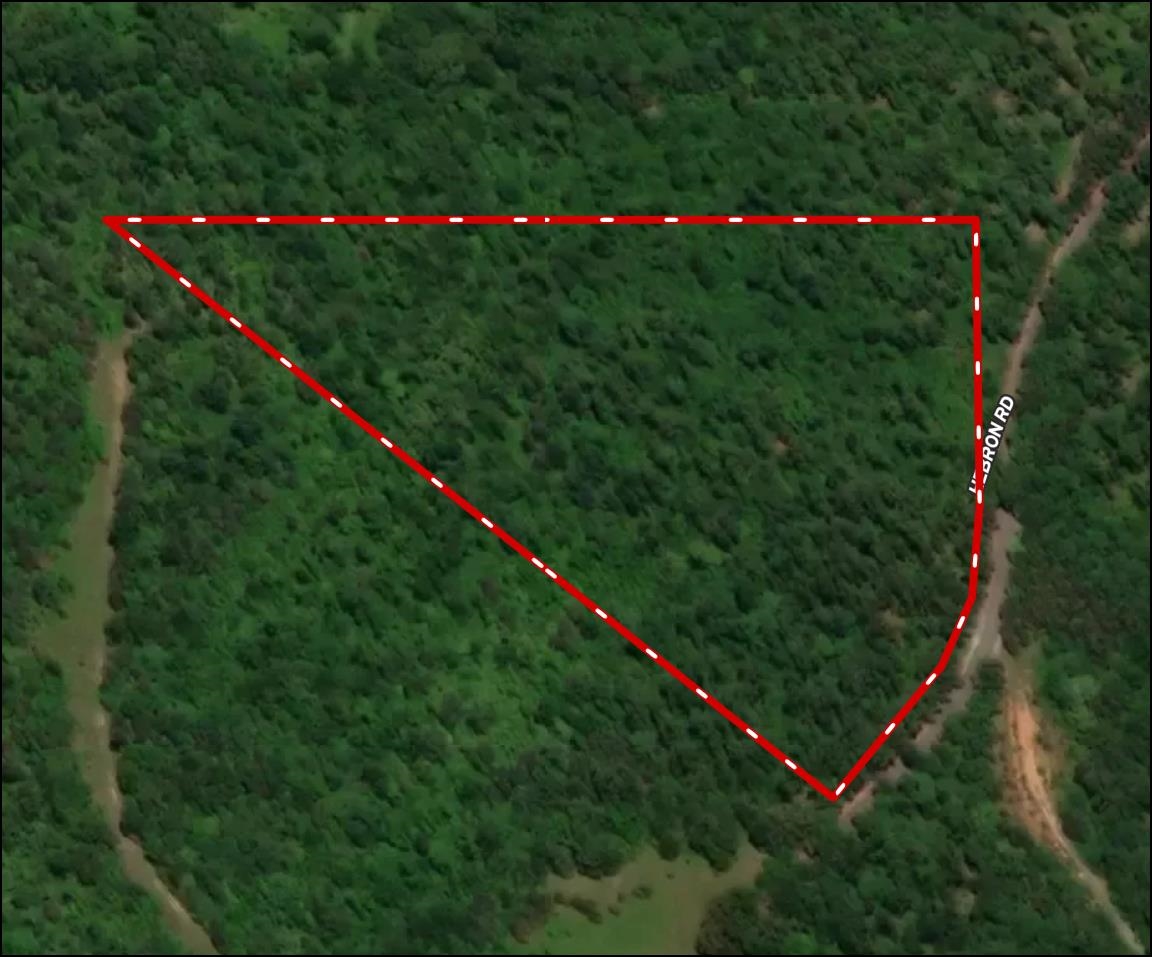 0 Hebron Road Middleton, TN 38052 - Photo 4 of 10 a yard with lots of green space and road