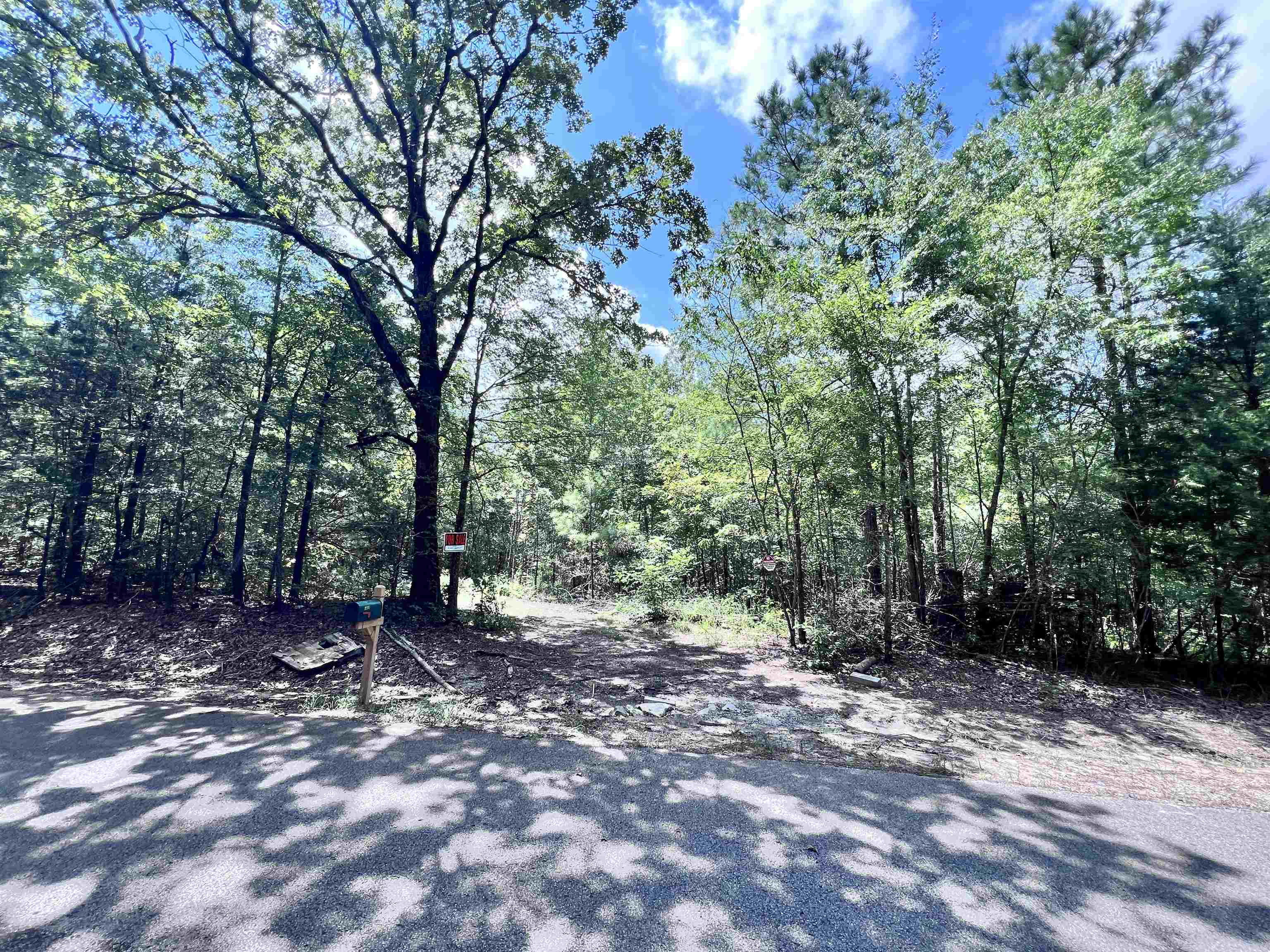 0 Hebron Road Middleton, TN 38052 - Photo 5 of 10 a view of outdoor space and trees