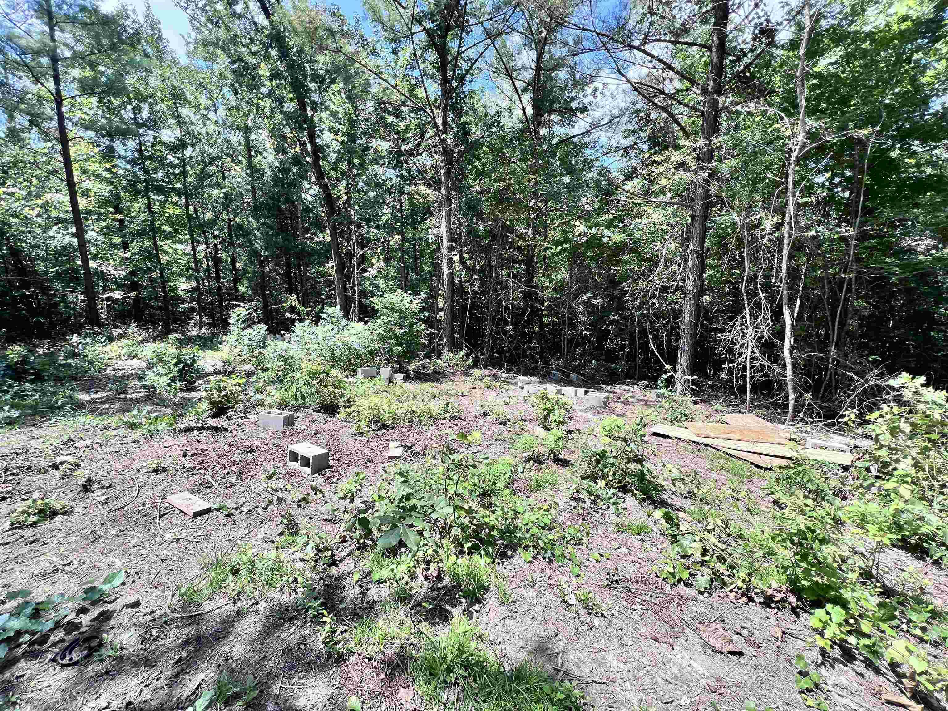 0 Hebron Road Middleton, TN 38052 - Photo 8 of 10 a view of flowers in the garden