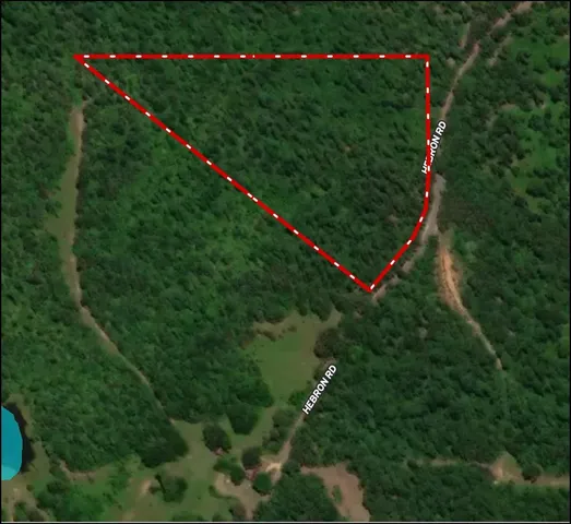 an aerial view of green space