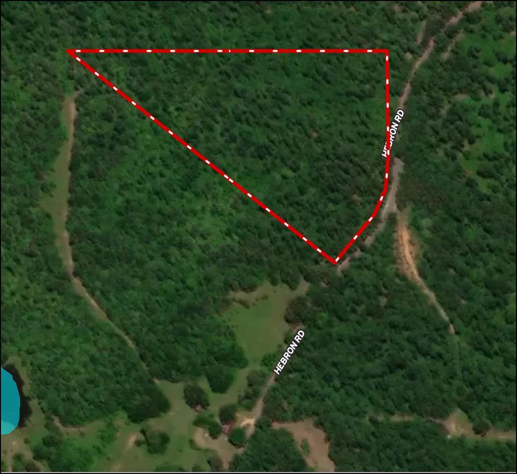 0 Hebron Road Middleton, TN 38052 - Photo 9 of 10 an aerial view of green space