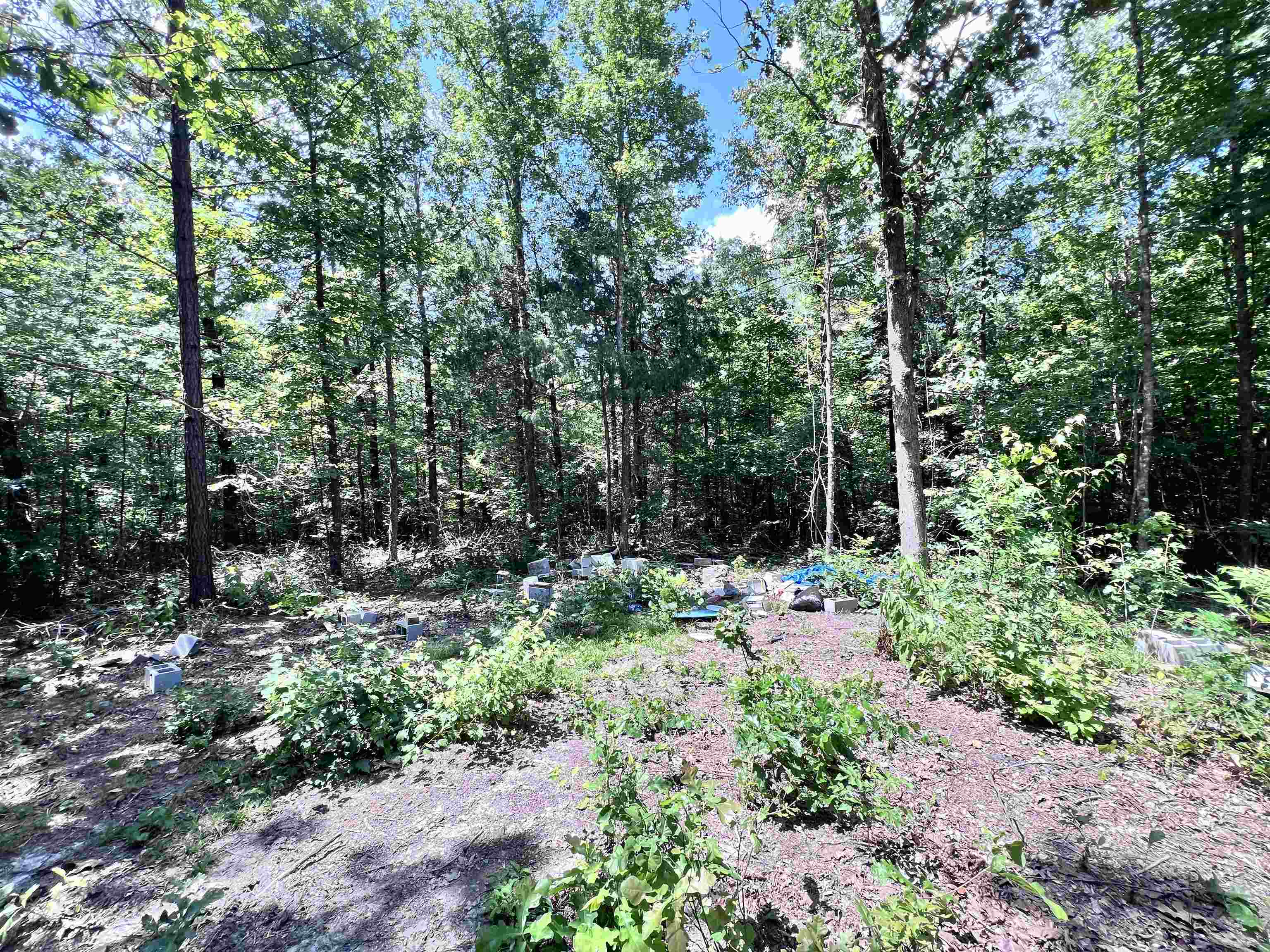 0 Hebron Road Middleton, TN 38052 - Photo 9 of 10 a garden view with large trees