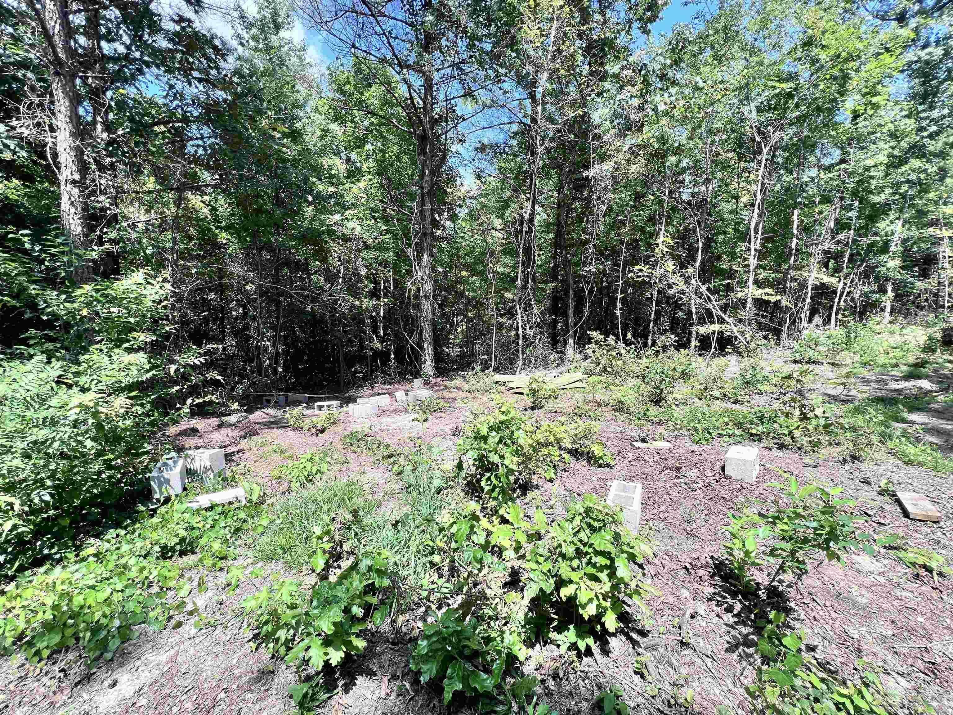 0 Hebron Road Middleton, TN 38052 - Photo 10 of 10 a backyard of a house with lots of green space