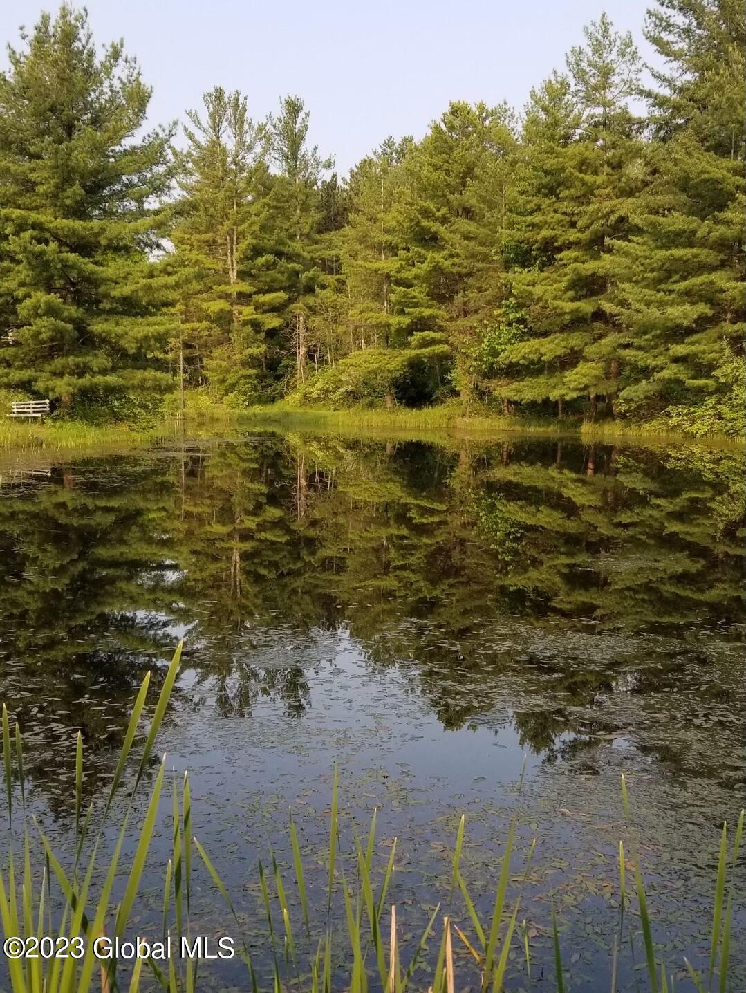 76 Sunset Road Greenville, NY 12083 - Photo 49 of 58 Pond 3