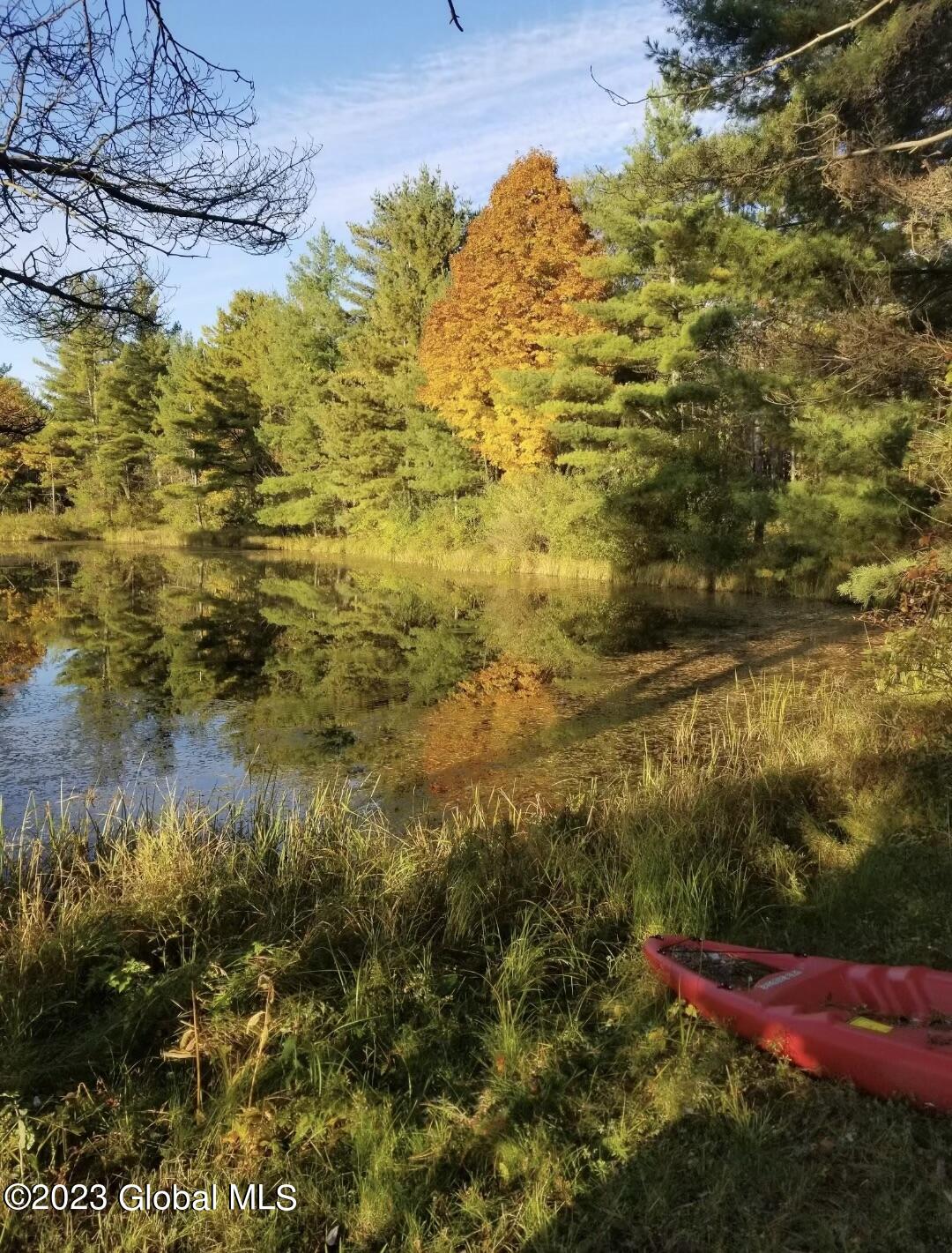 76 Sunset Road Greenville, NY 12083 - Photo 6 of 58 Pond 2