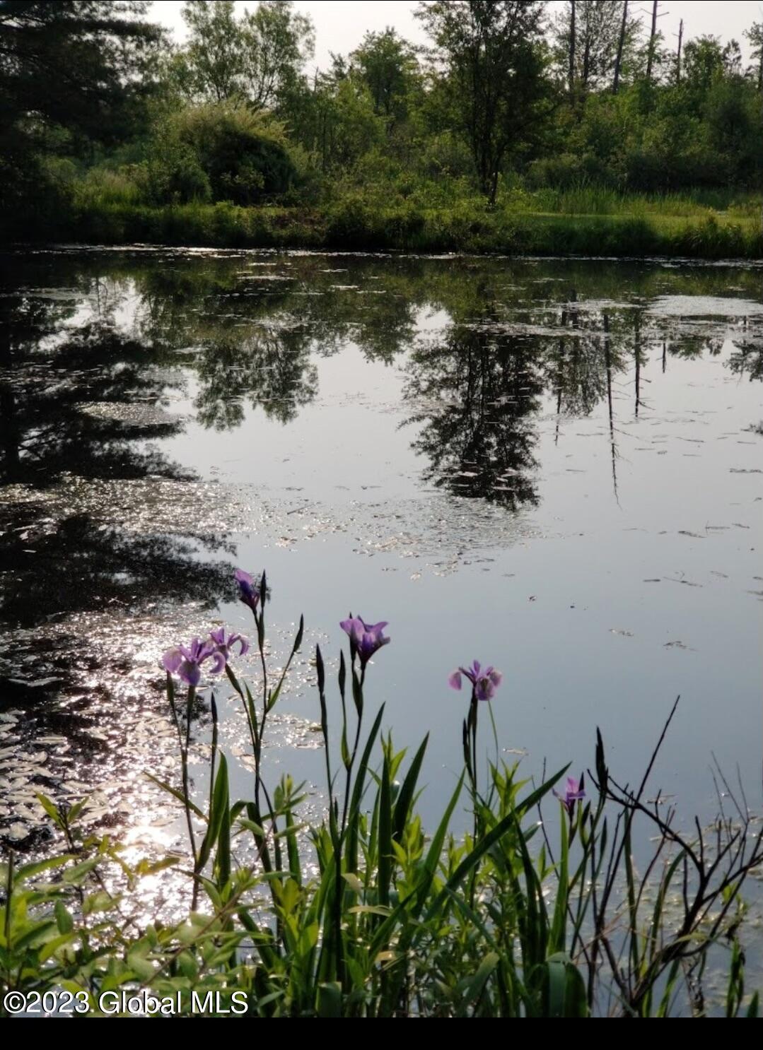 76 Sunset Road Greenville, NY 12083 - Photo 7 of 58 Pond 1