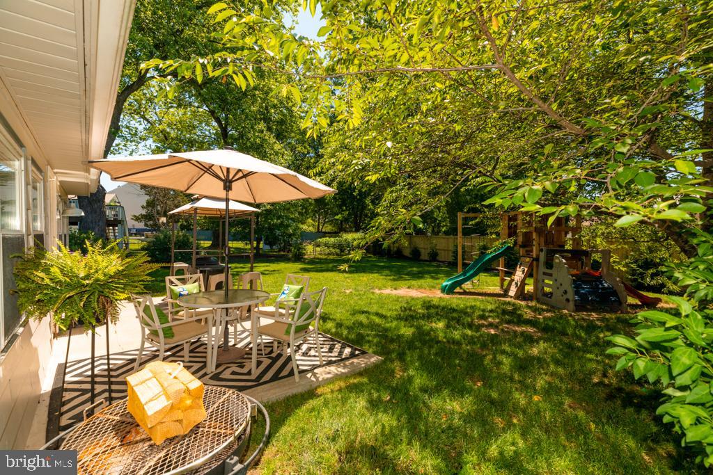 4205 Franconia Road Alexandria, VA 22310 - Photo 35 of 42 Backyard