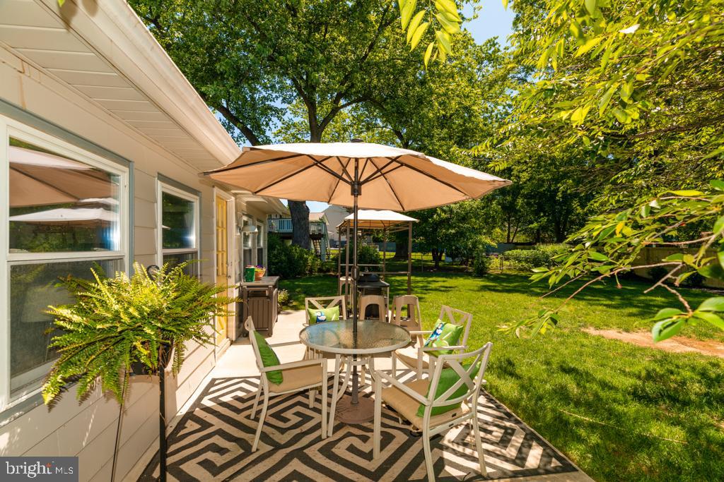 4205 Franconia Road Alexandria, VA 22310 - Photo 36 of 42 Backyard