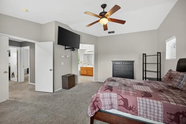 a close up of a tree