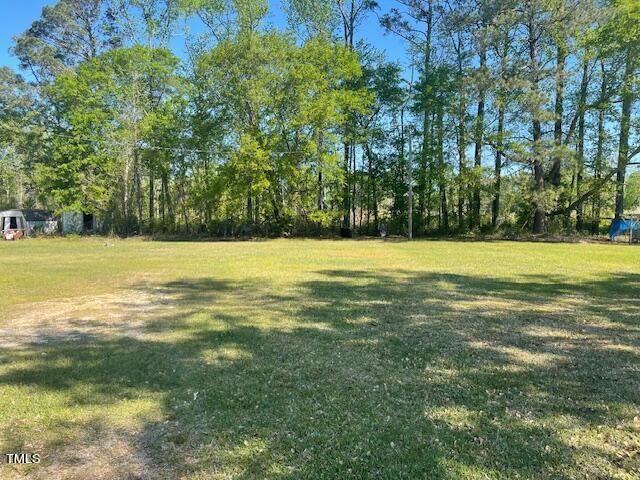 158 Hargrove Road Clinton, NC 28328 - Photo 4 of 9 158hargrovebacklot