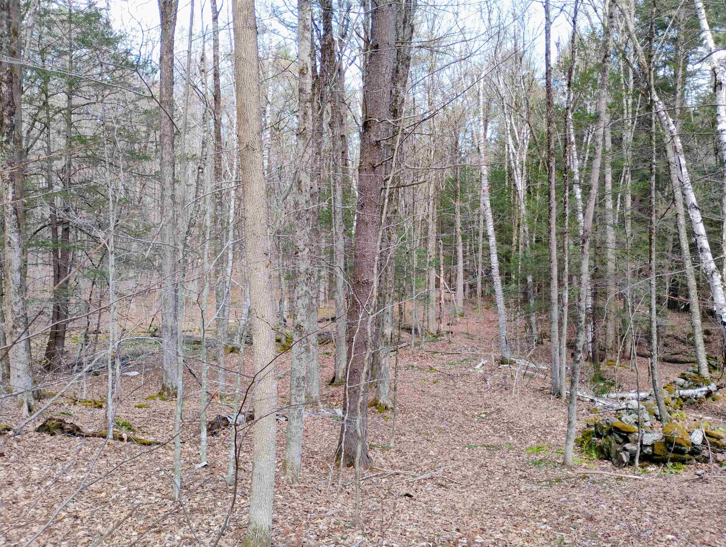 Lot 1 Faraway (jones) Road Putney, VT 05346 - Photo 12 of 18