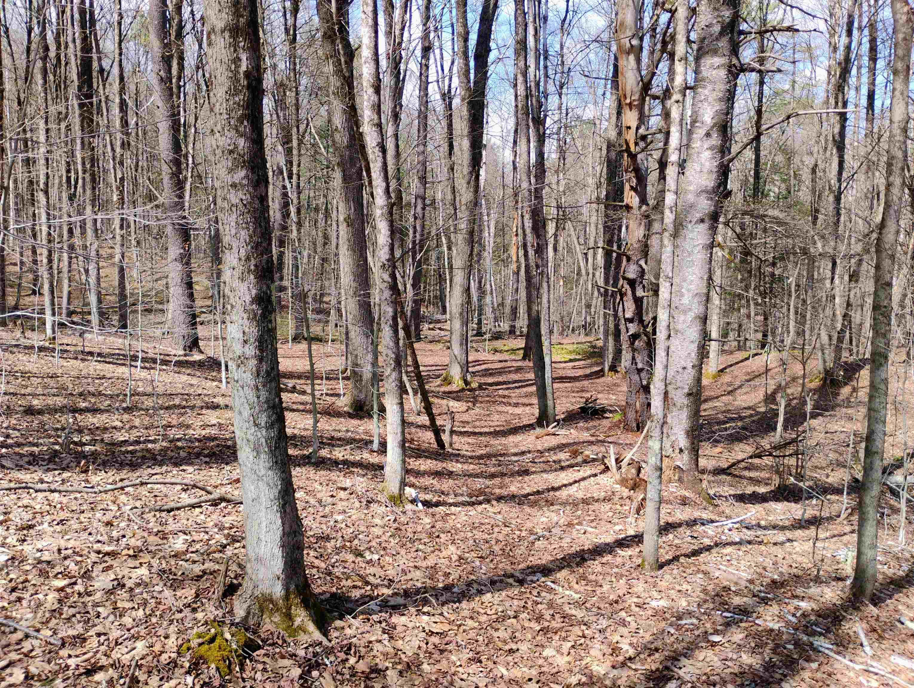Lot 1 Faraway (jones) Road Putney, VT 05346 - Photo 13 of 18