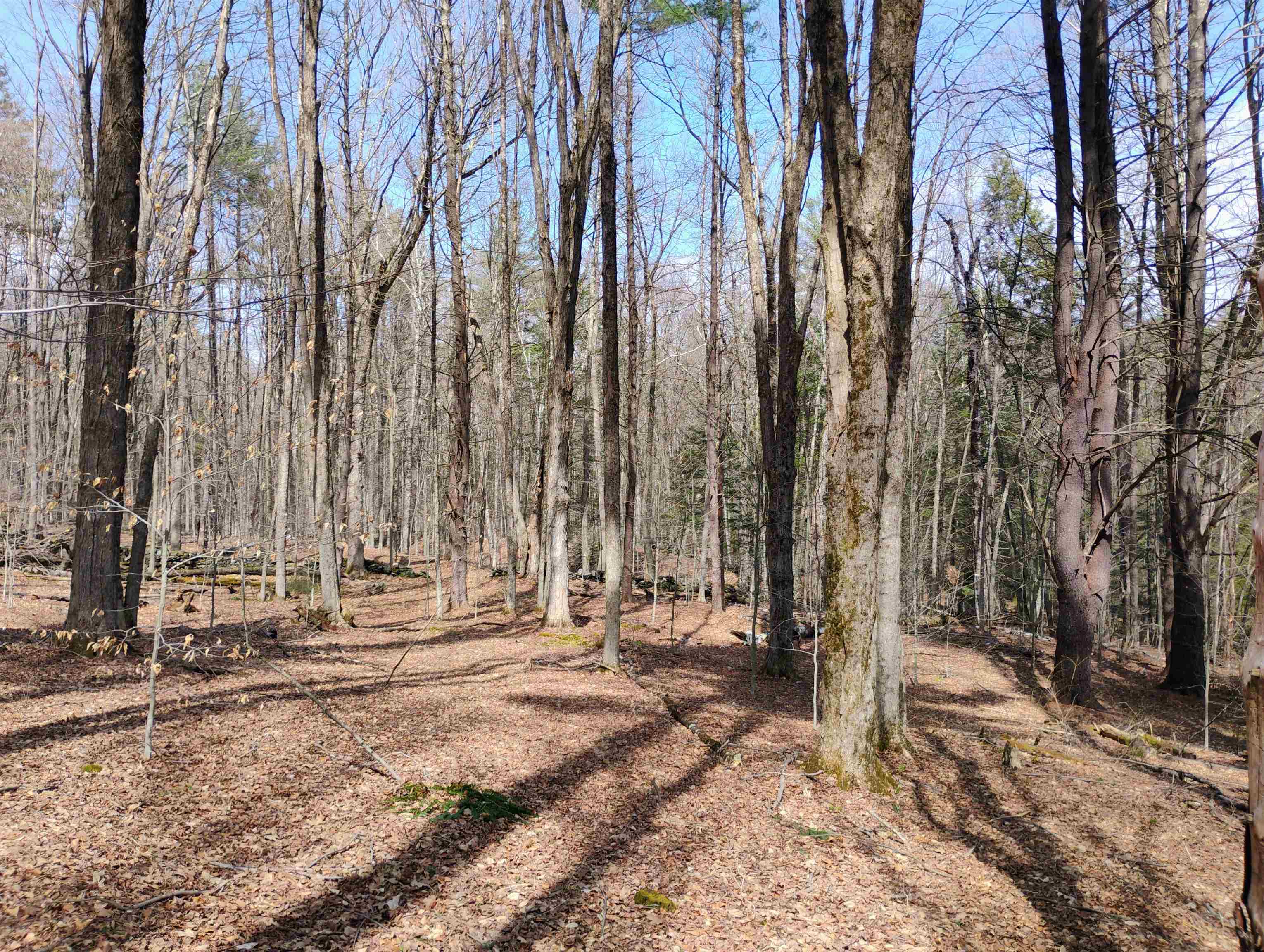 Lot 1 Faraway (jones) Road Putney, VT 05346 - Photo 15 of 18