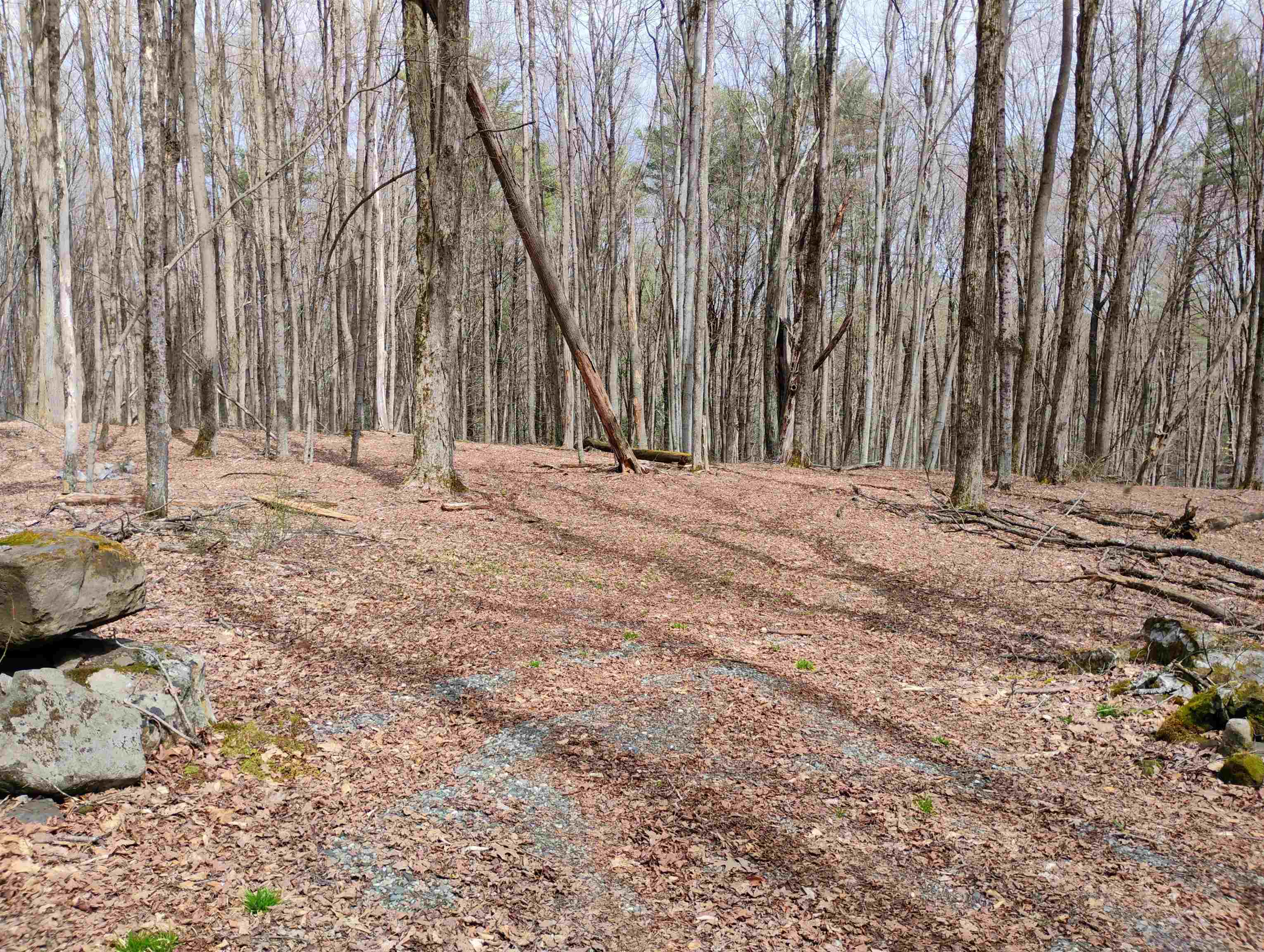 Lot 1 Faraway (jones) Road Putney, VT 05346 - Photo 3 of 18