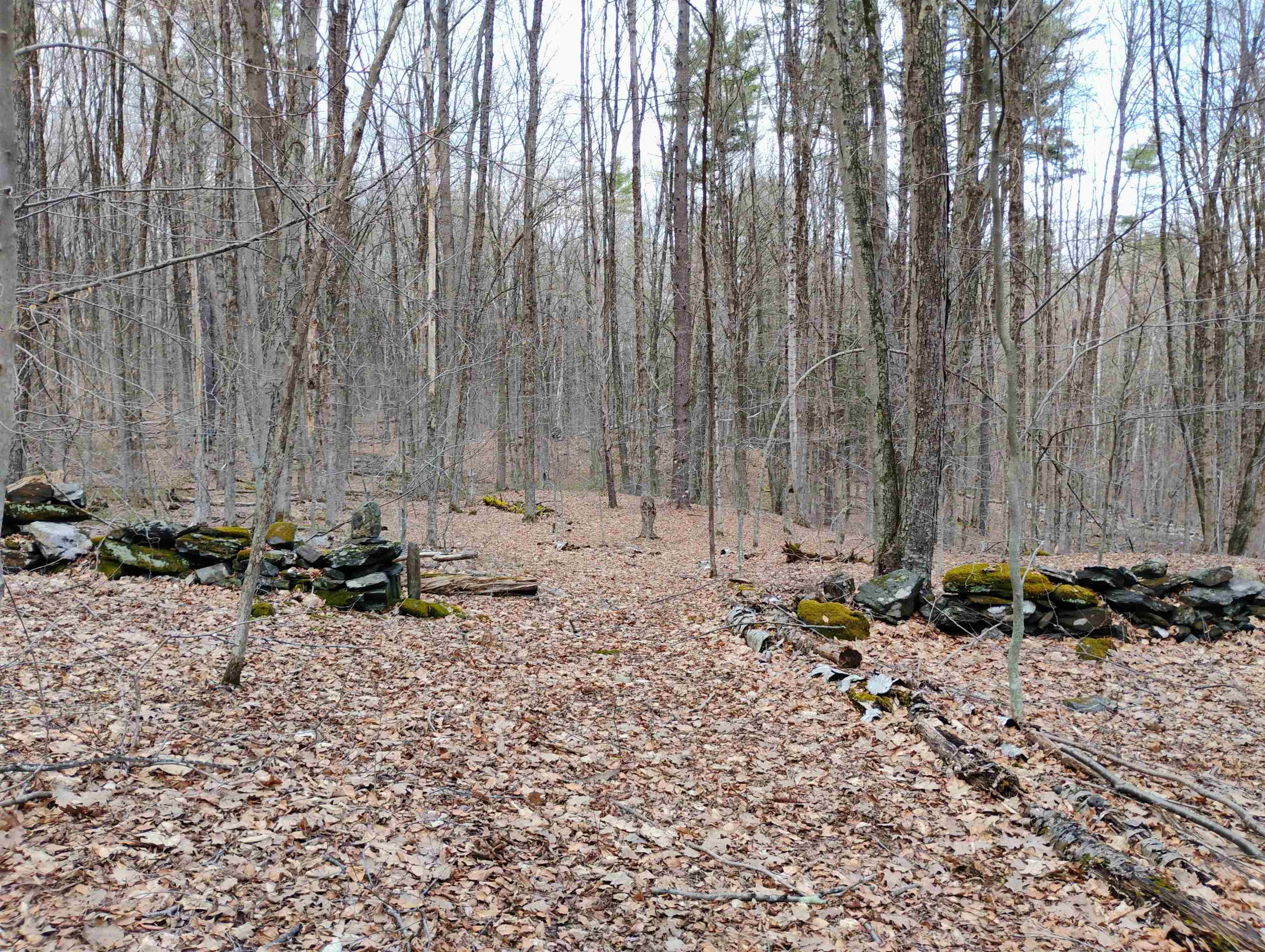 Lot 1 Faraway (jones) Road Putney, VT 05346 - Photo 4 of 18