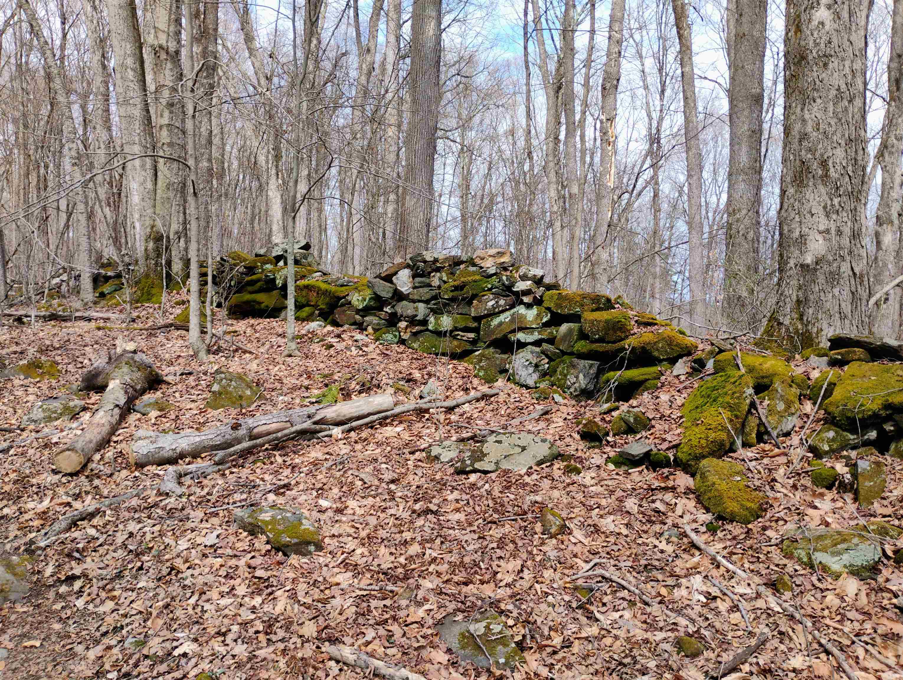 Lot 1 Faraway (jones) Road Putney, VT 05346 - Photo 5 of 18