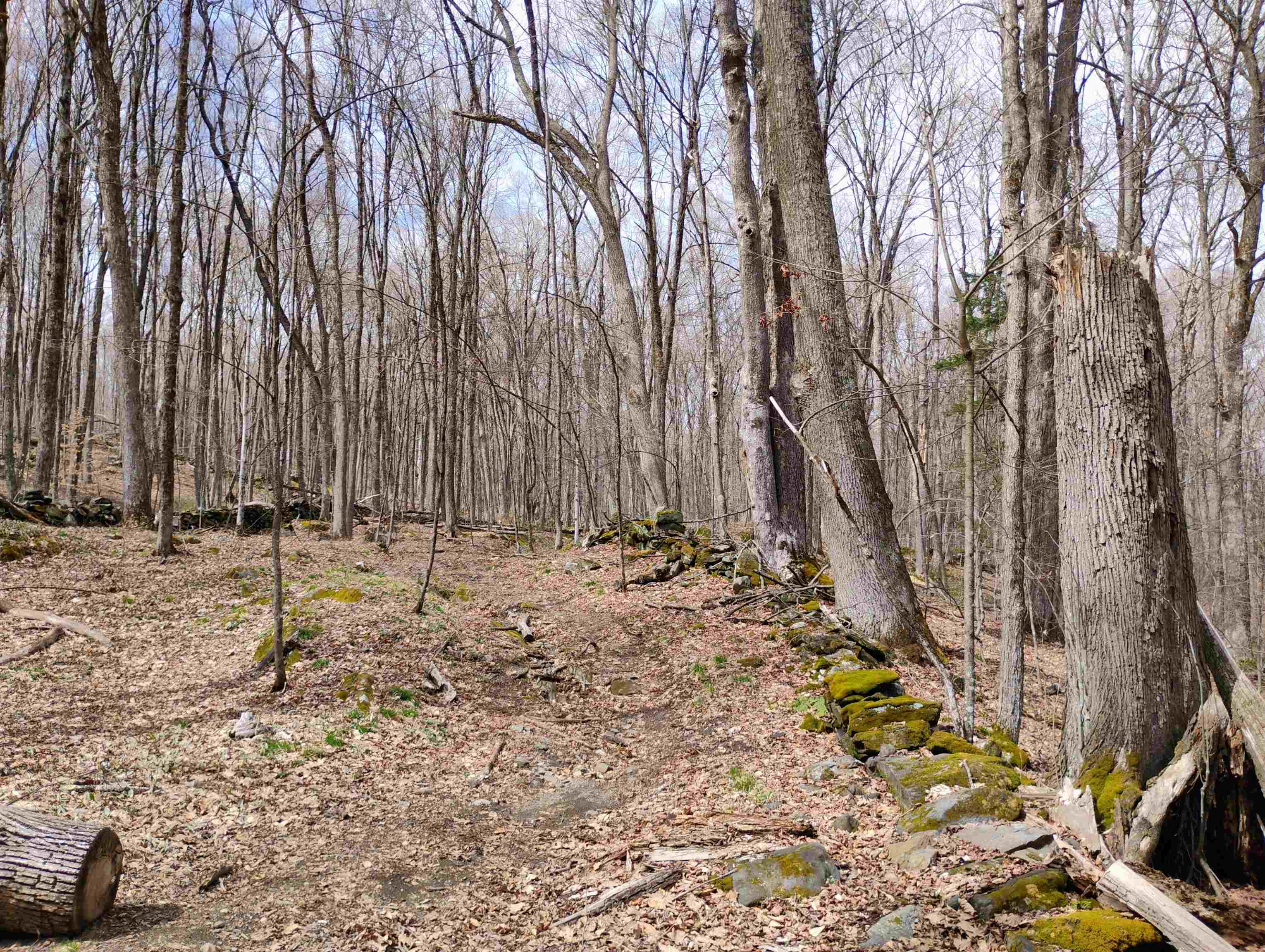 Lot 1 Faraway (jones) Road Putney, VT 05346 - Photo 6 of 18