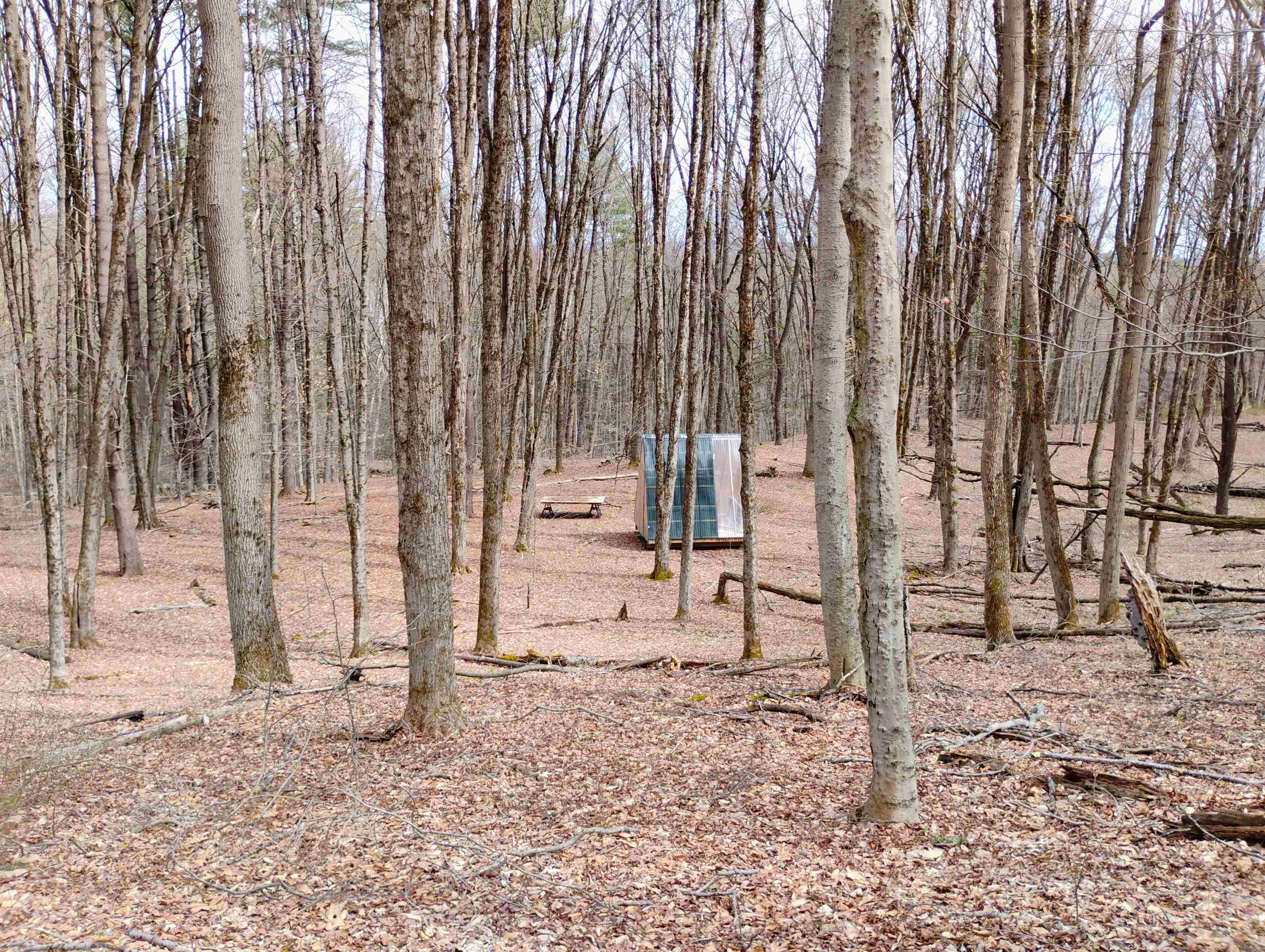 Lot 1 Faraway (jones) Road Putney, VT 05346 - Photo 7 of 18