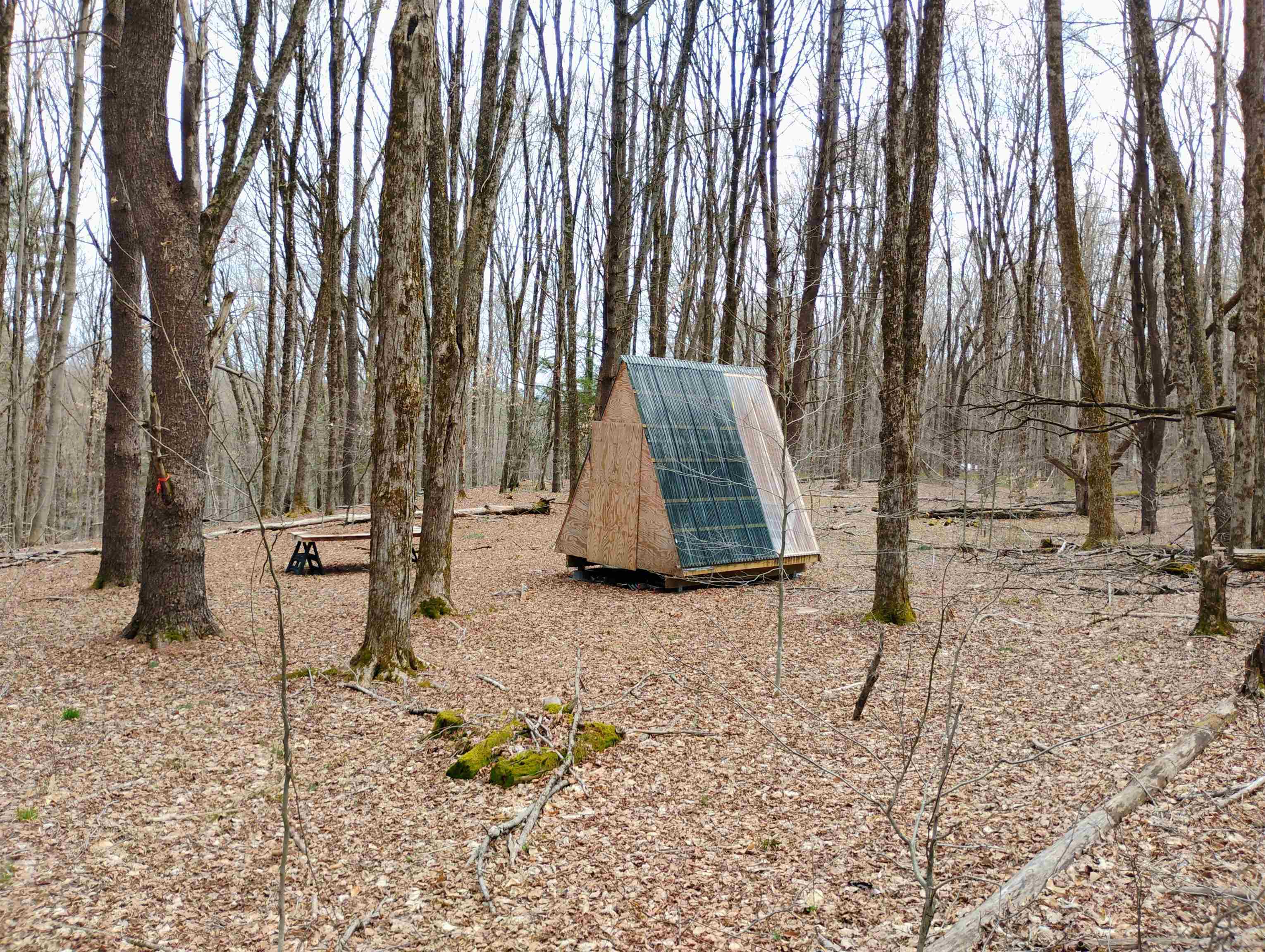 Lot 1 Faraway (jones) Road Putney, VT 05346 - Photo 8 of 18