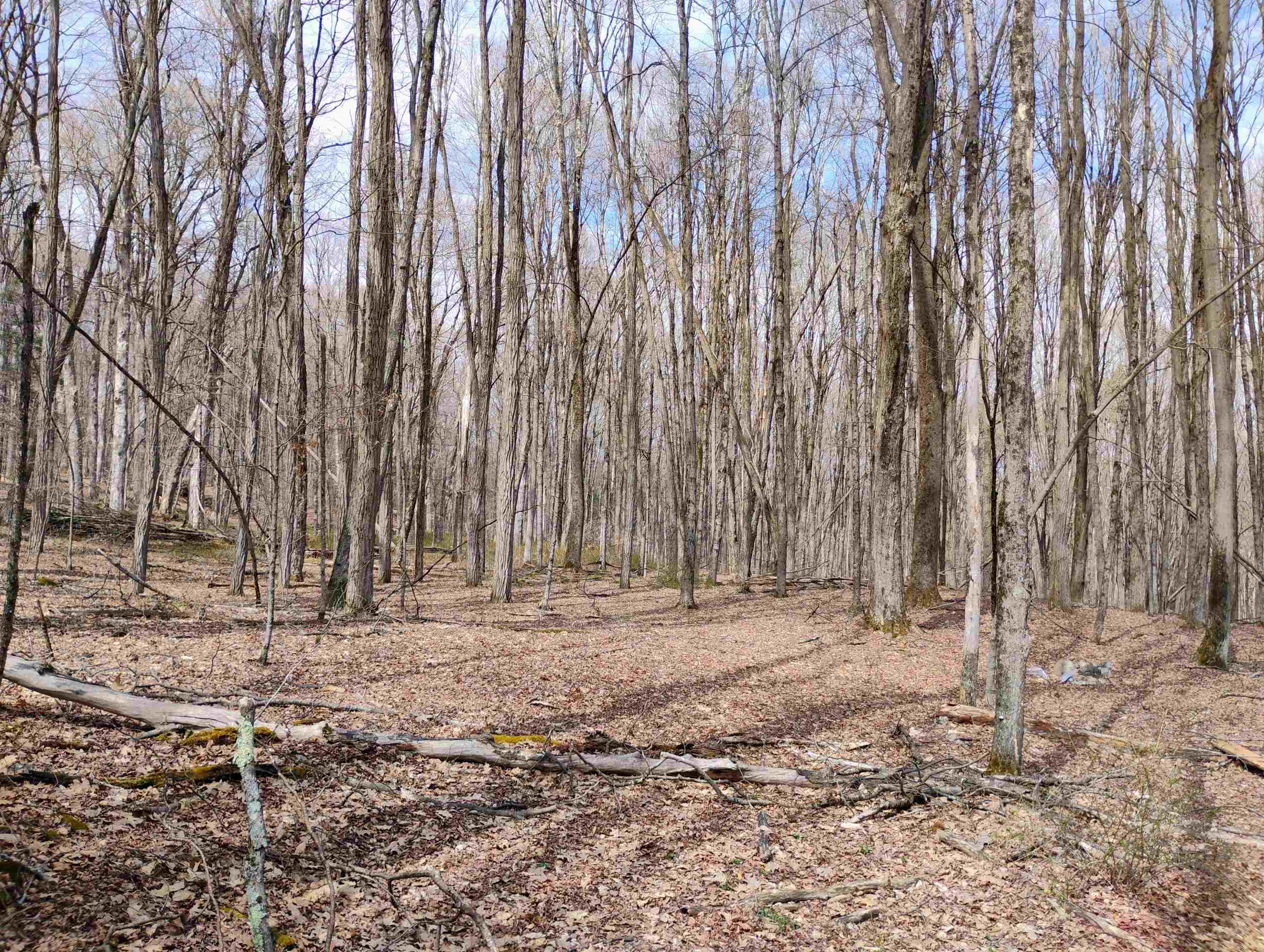 Lot 1 Faraway (jones) Road Putney, VT 05346 - Photo 10 of 18