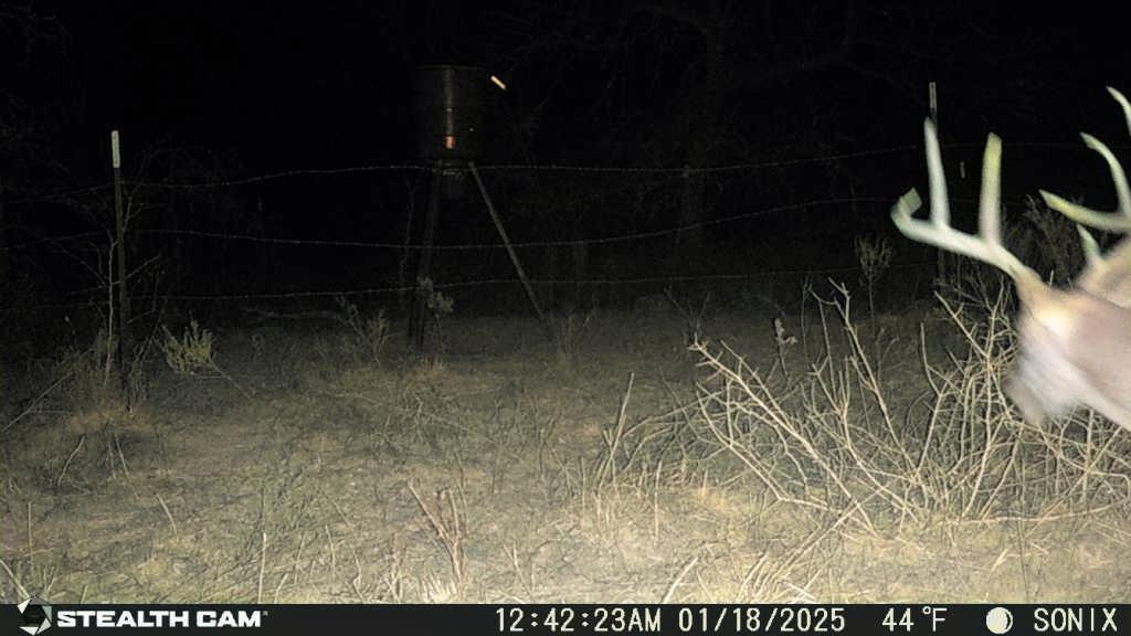 Not Addressed Yet Not Addressed Yet Slusher Road Jacksboro, TX 76458 - Photo 16 of 22 a view of storage and utility room