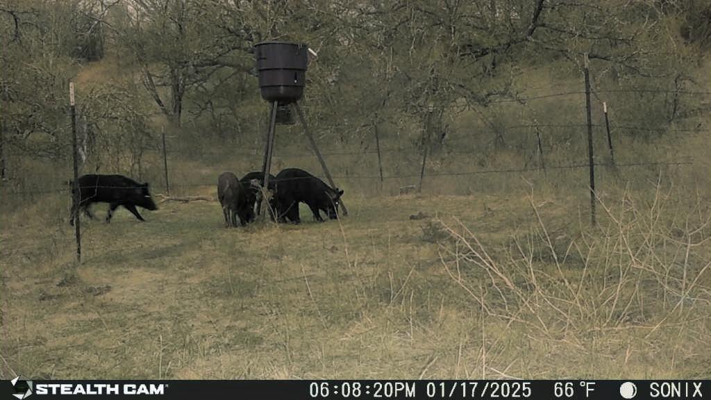 Not Addressed Yet Not Addressed Yet Slusher Road Jacksboro, TX 76458 - Photo 18 of 22 a view of a glass door