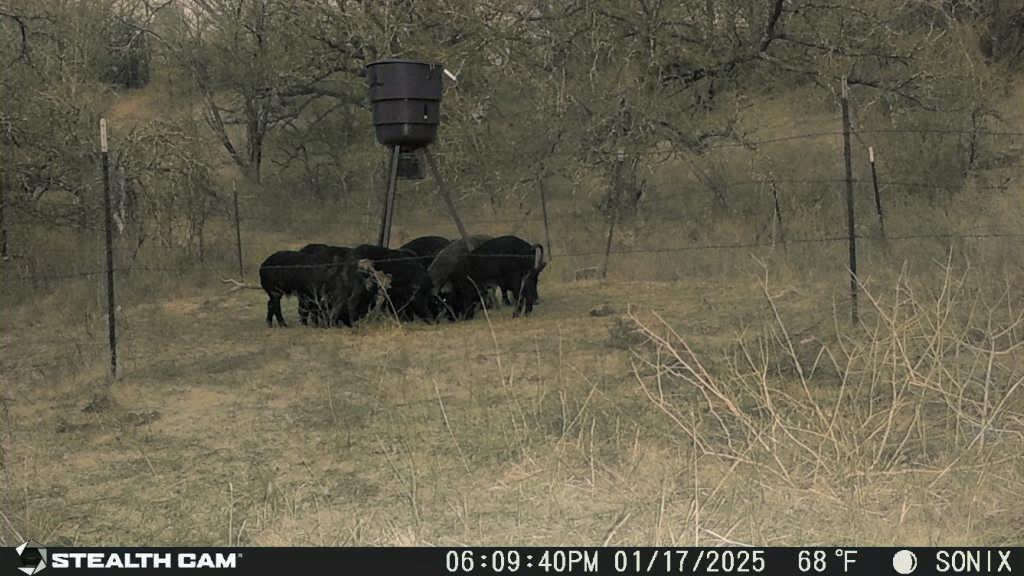 Not Addressed Yet Not Addressed Yet Slusher Road Jacksboro, TX 76458 - Photo 19 of 22 a bathroom with a shower