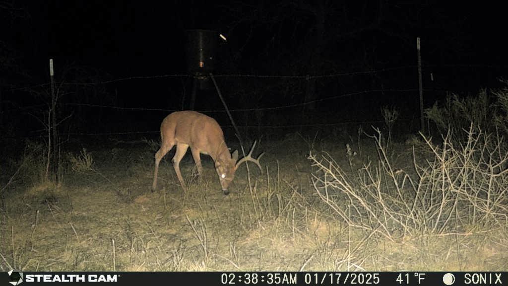 Not Addressed Yet Not Addressed Yet Slusher Road Jacksboro, TX 76458 - Photo 20 of 22 a picture of a room