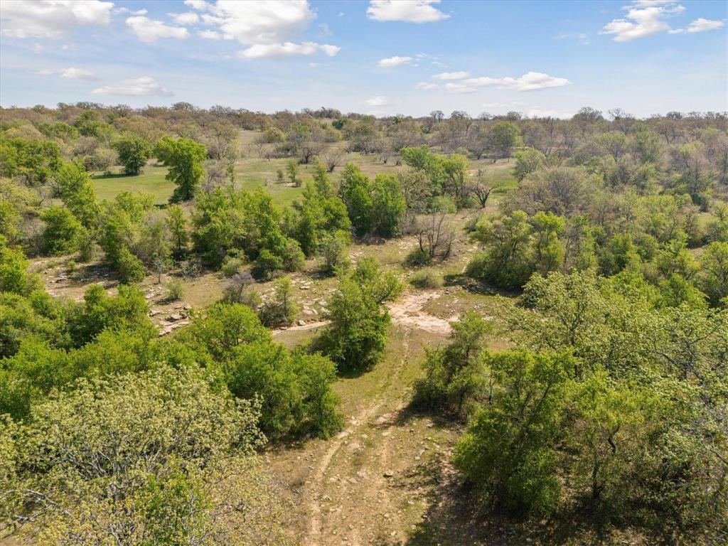 Not Addressed Yet Not Addressed Yet Slusher Road Jacksboro, TX 76458 - Photo 9 of 22 a view of a city with lush green forest