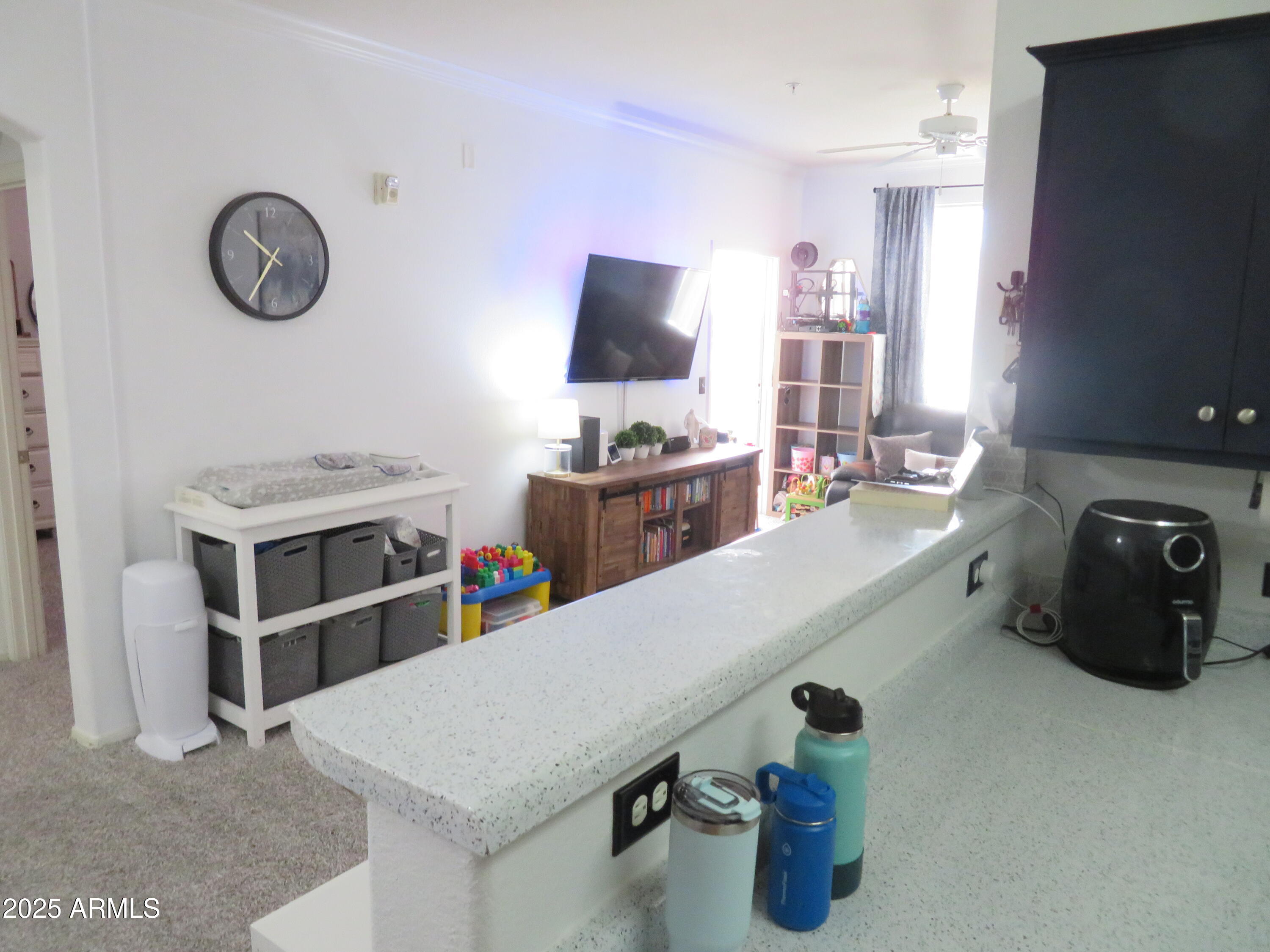 1941 South Pierpont Drive, Unit 1025 Mesa, AZ 85206 - Photo 14 of 52 IMG_4041