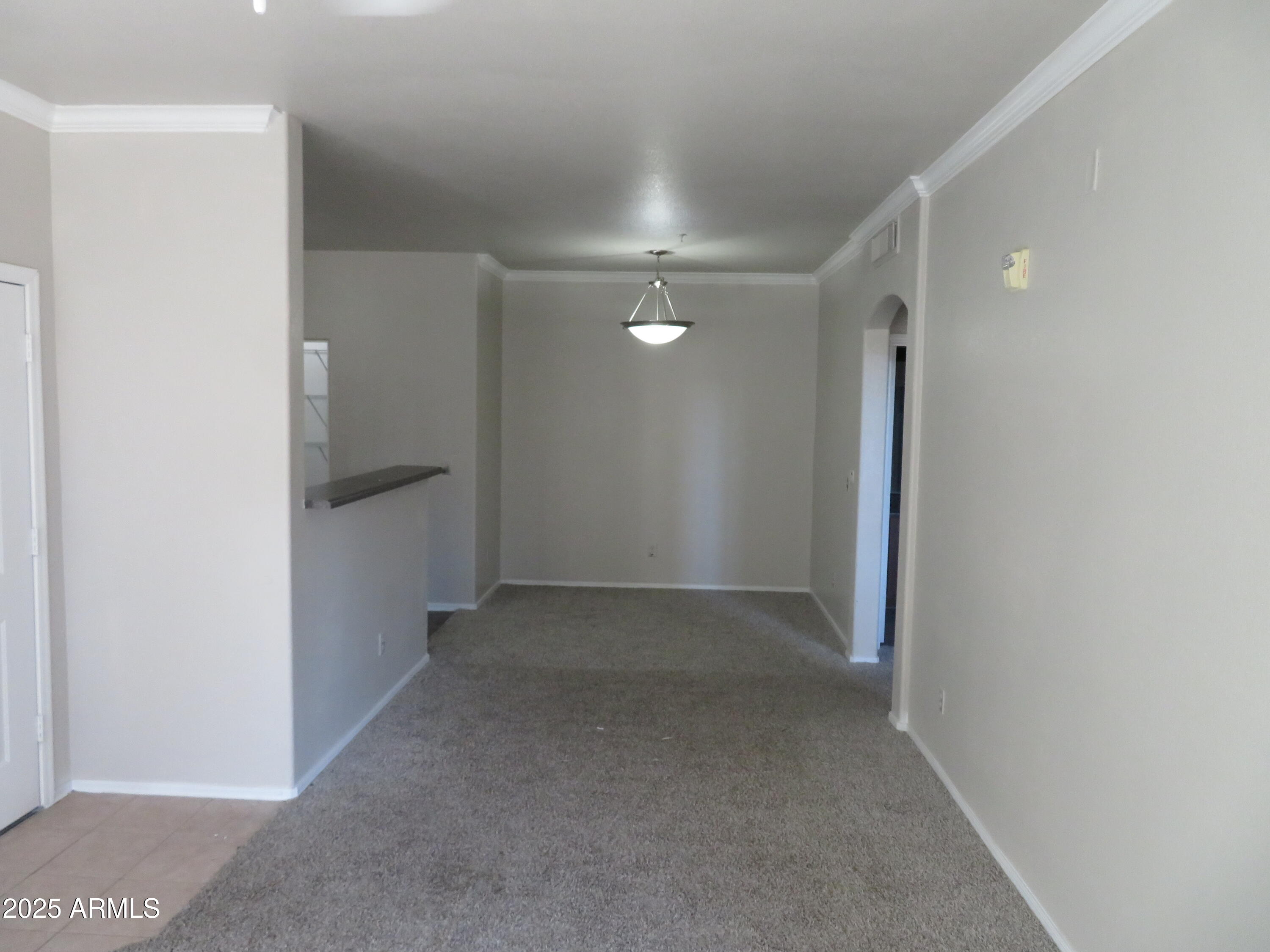 1941 South Pierpont Drive, Unit 1025 Mesa, AZ 85206 - Photo 48 of 52 IMG_4126