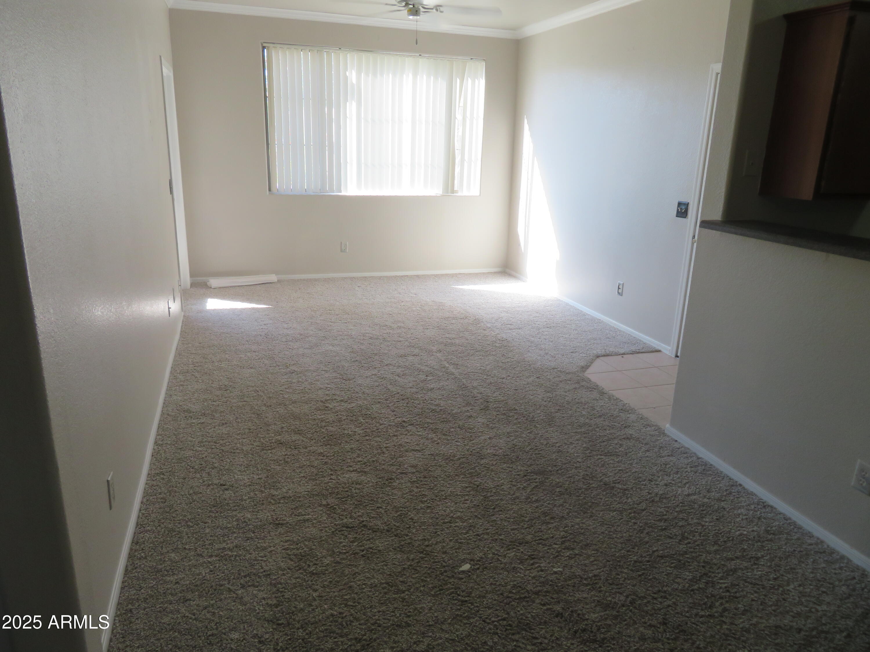 1941 South Pierpont Drive, Unit 1025 Mesa, AZ 85206 - Photo 50 of 52 IMG_4128