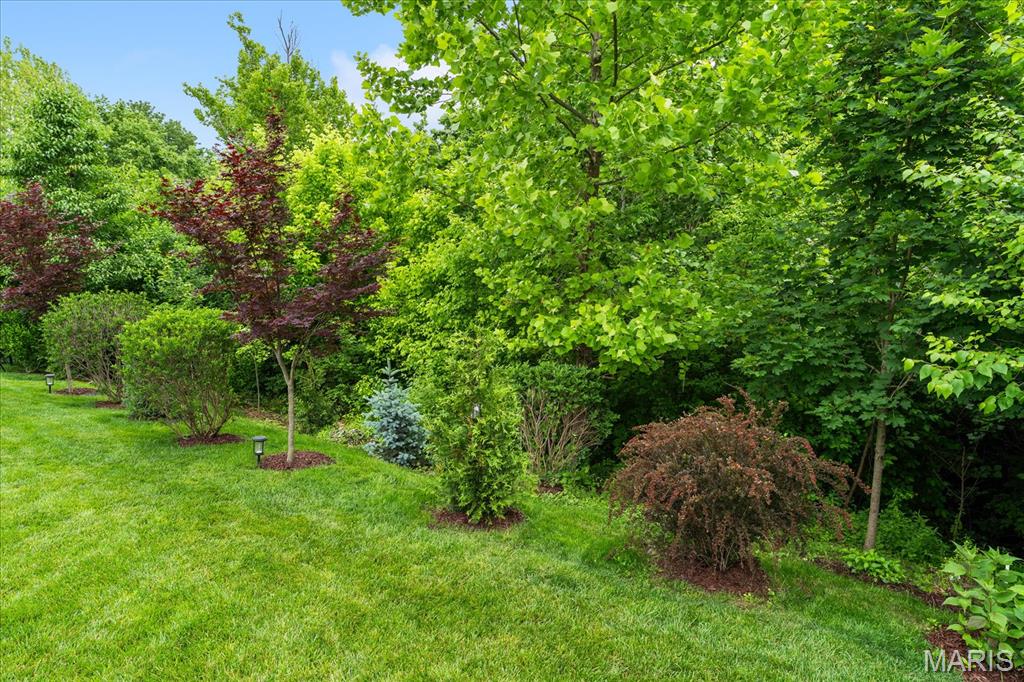 7968 Donner Ridge Caseyville, IL 62232 - Photo 49 of 64