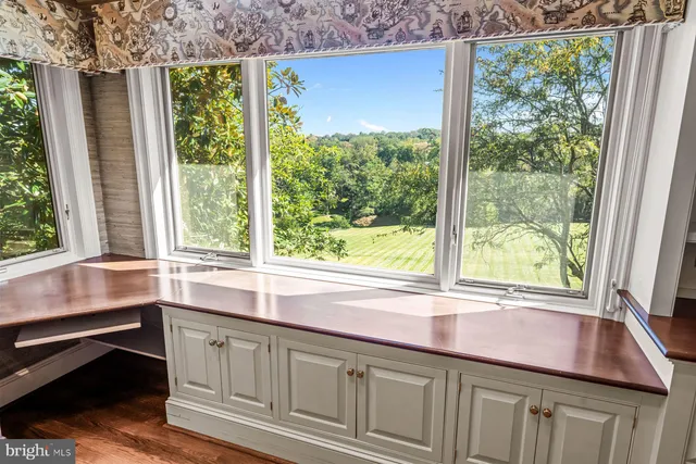 a view of a park with a large tree