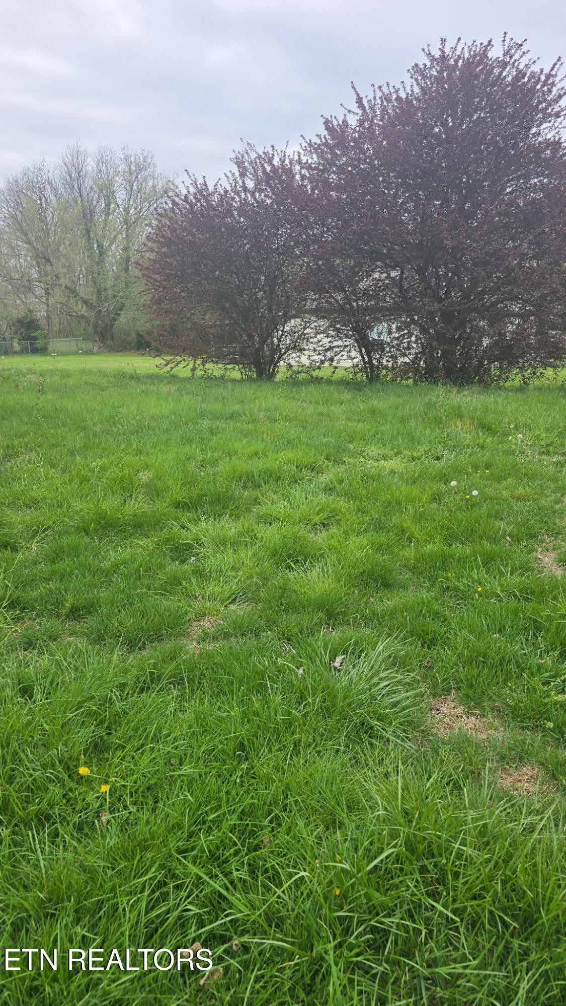 908 Crescent Street Morristown, TN 37813 - Photo 23 of 24