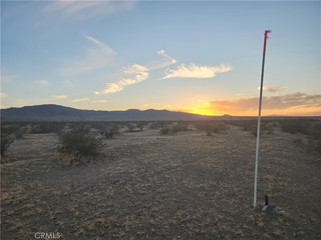 a view of a yard with an ocean view