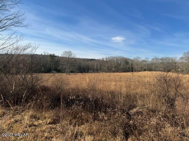 0 Moss Road Benton, PA 17814 - Photo 8 of 11 Gallery Image 8