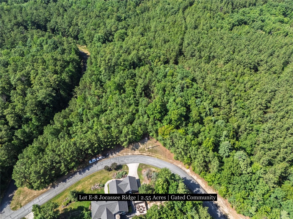 231 Jocassee Ridge Way Salem, SC 29676 - Photo 15 of 15 Nestled in a verdant landscape, this spacious lot offers seclusion and natural beauty.