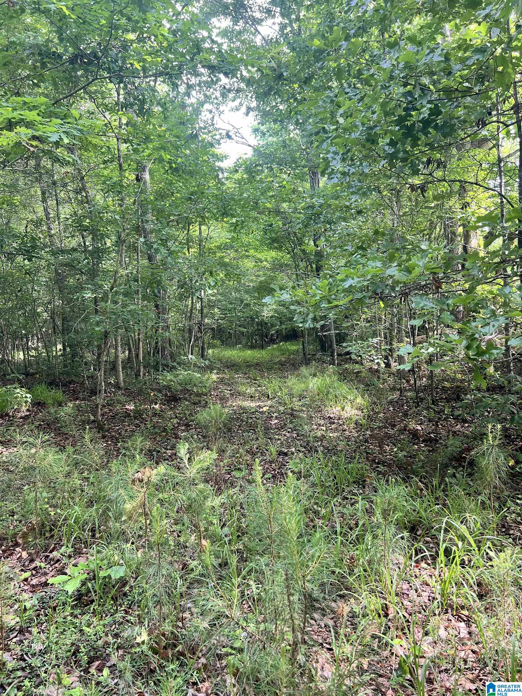 930 Anniston Beach Road Anniston, AL 36206 - Photo 21 of 23