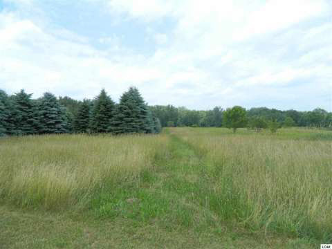 8495 Sanford Road Addison, MI 49220 - Photo 10 of 16 20413752-9.JPG