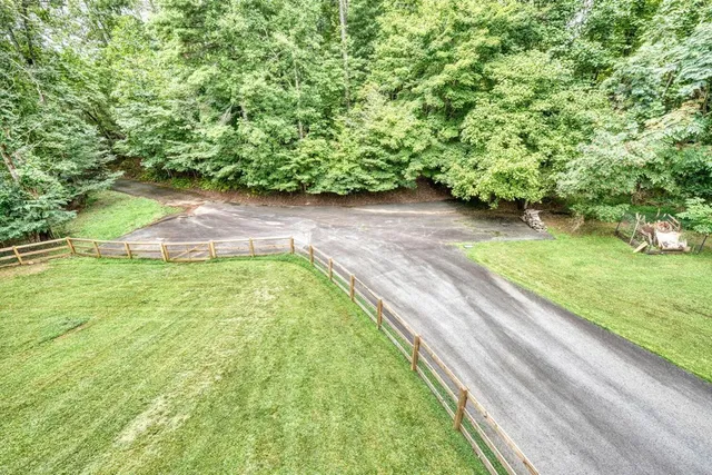 a view of a garden with a bench