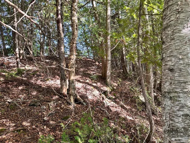 $65,000 | 4 C Carmichael Road, Littleton, ME 04730