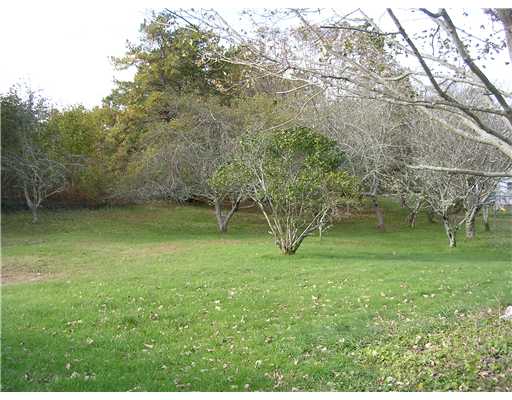 35 Langworthy Road Westerly, RI 02891 - Photo 2 of 13 Yard/Garden.